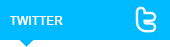 bg_twitter.gif